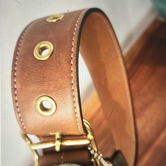 Coach - Picture 12 of 16